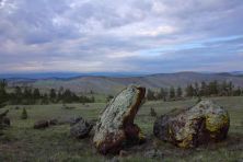 tazeranskaja steppe111.jpg
